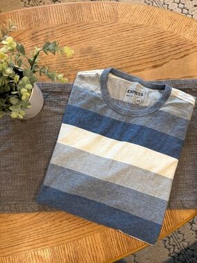 Express Striped Crewneck Tee in Blue and White